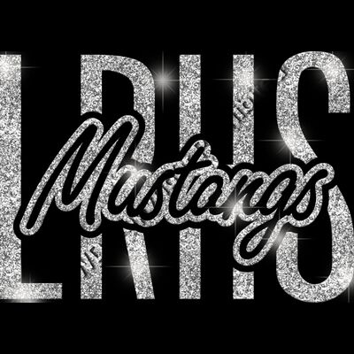 GLT95 SILVER GLITTER Thumbnail