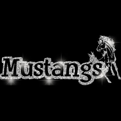 GLT17 SILVER GLITTER Thumbnail